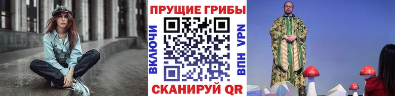 Купить закладки  Буинск  Галлюциногенные грибы Psilocybine cubensis 